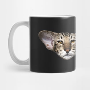 Oriental Cat Kitten Art Mug